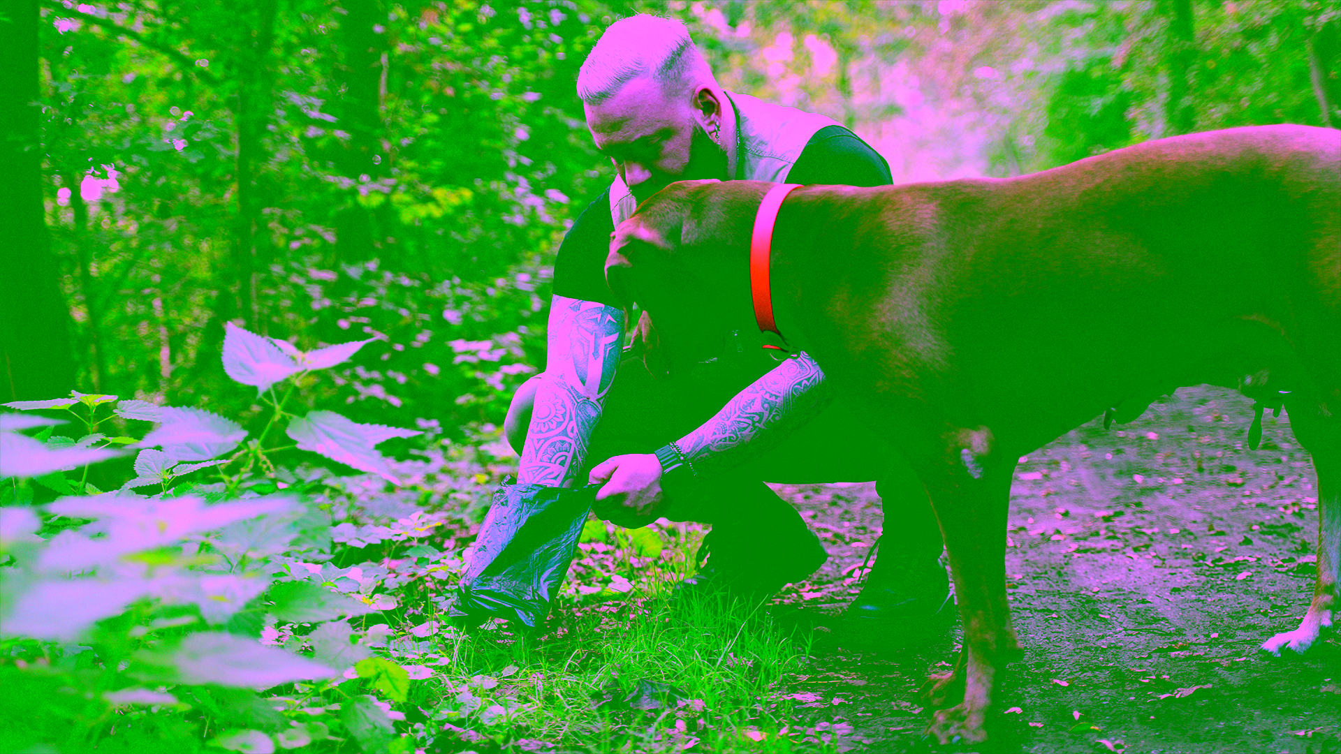 Hundehalter beobachtet beim Gassigehen den Kot seines Hundes auf Schleim und Auffälligkeiten.