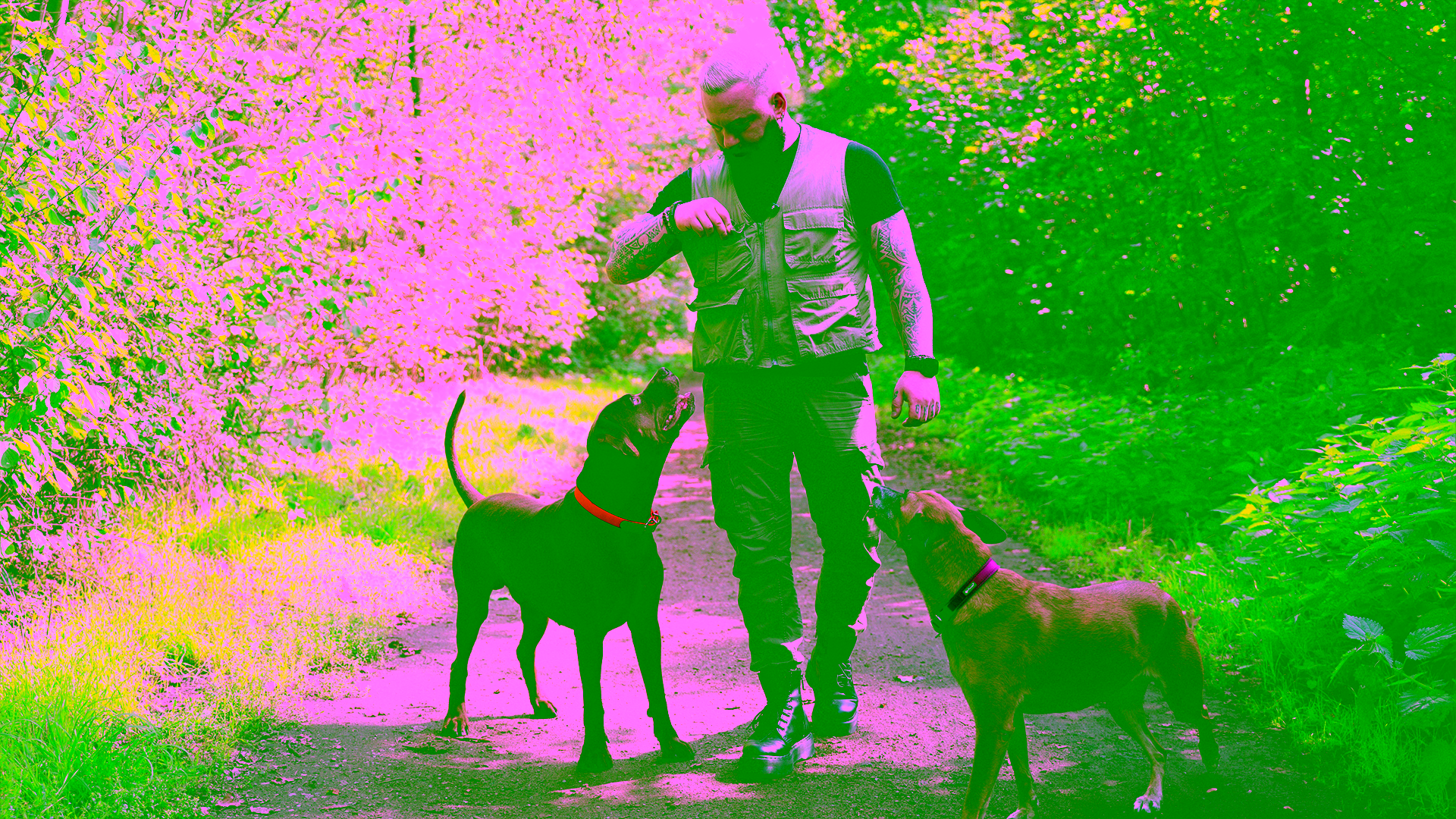Hundehalter beobachtet seinen Hund beim Spaziergang aufmerksam auf Anzeichen von Durchfall.