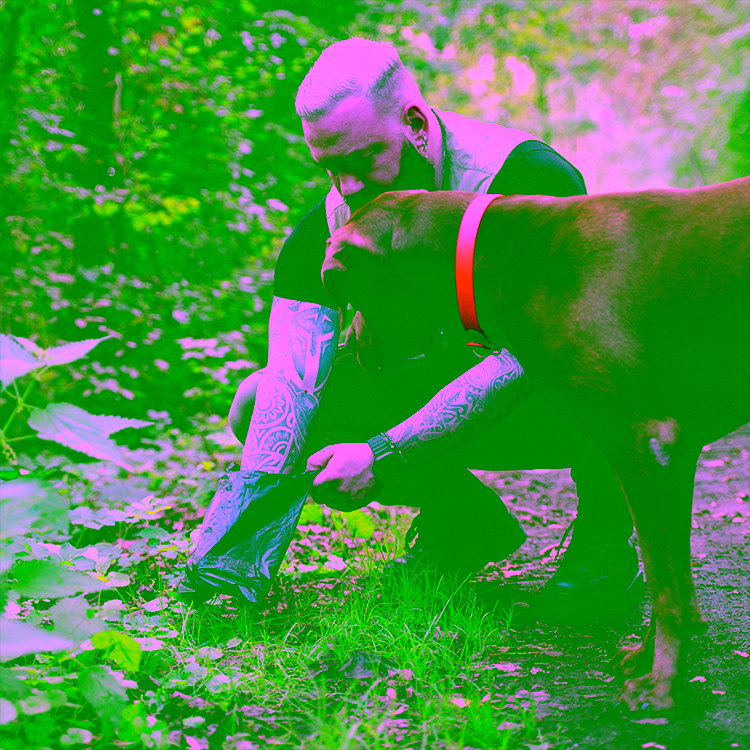 Schleim im Hundekot: Ursachen, Bedeutung und wann zum Tierarzt
